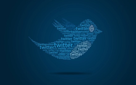 twitter-bird-computers-wallpaper-12317